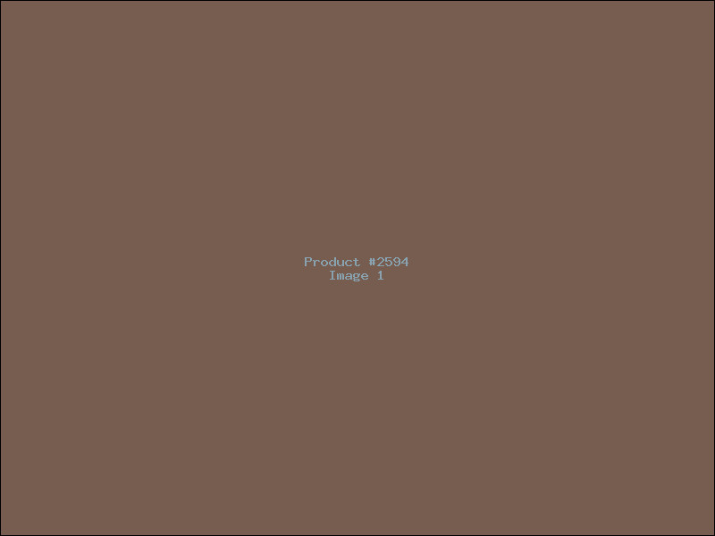 Example Product 2594