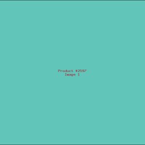 Example Product 2597