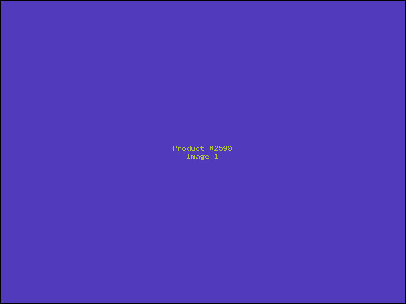 Example Product 2599