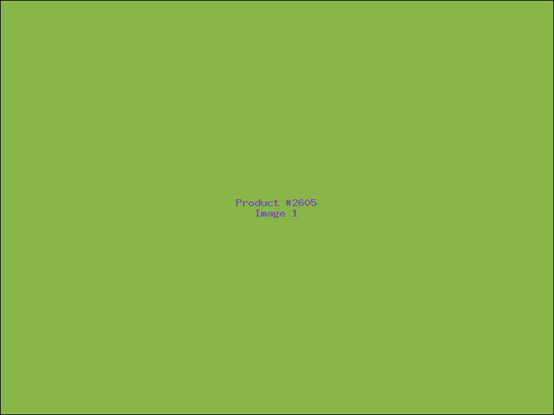 Example Product 2605