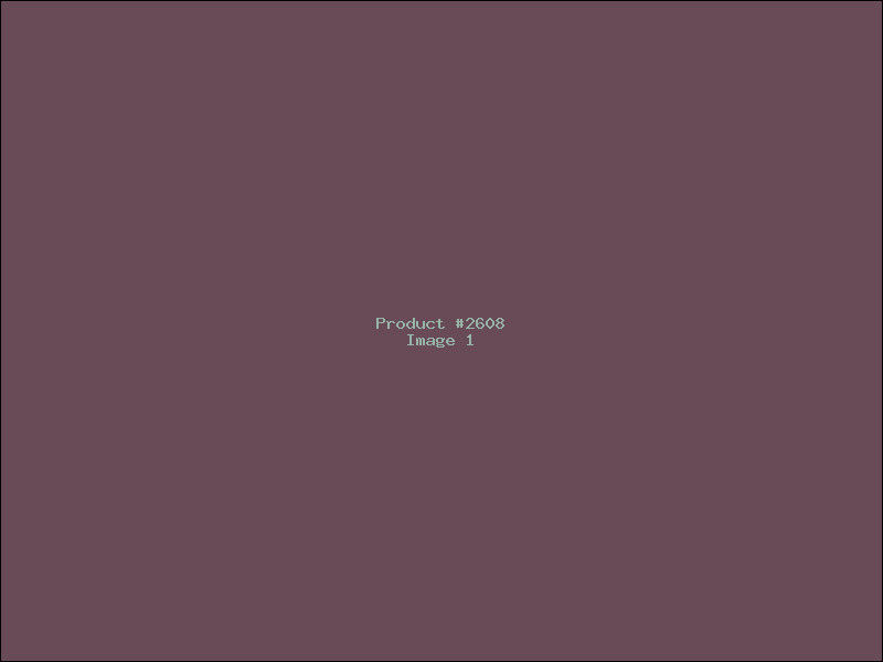Example Product 2608
