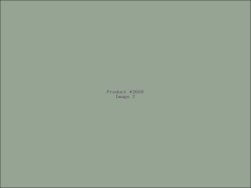 Example Product 2609 - Image 2