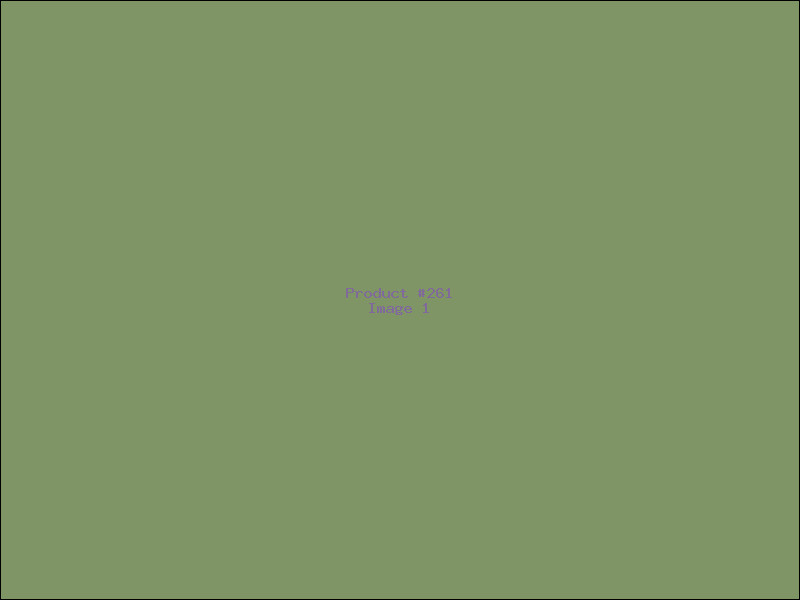 Example Product 261