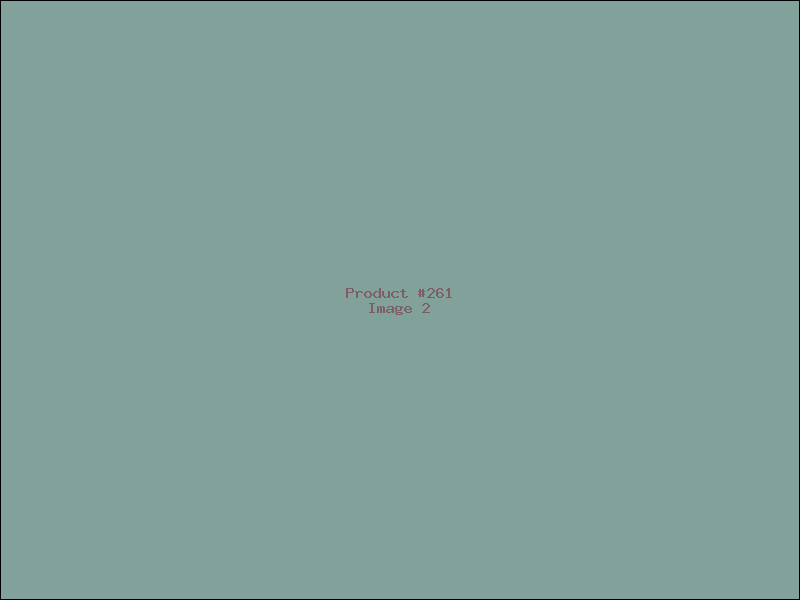Example Product 261 - Image 2