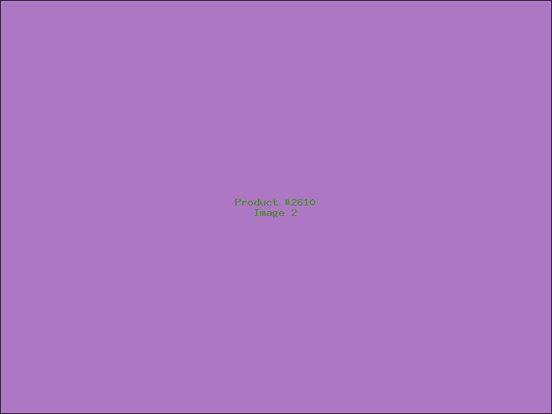 Example Product 2610 - Image 2