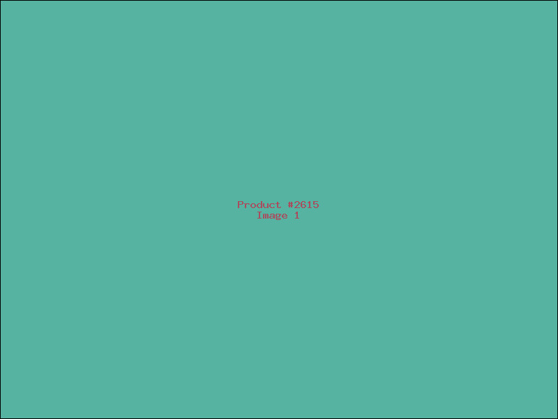 Example Product 2615