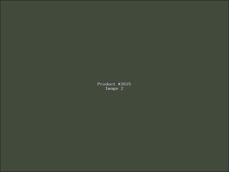 Example Product 2615 - Image 2
