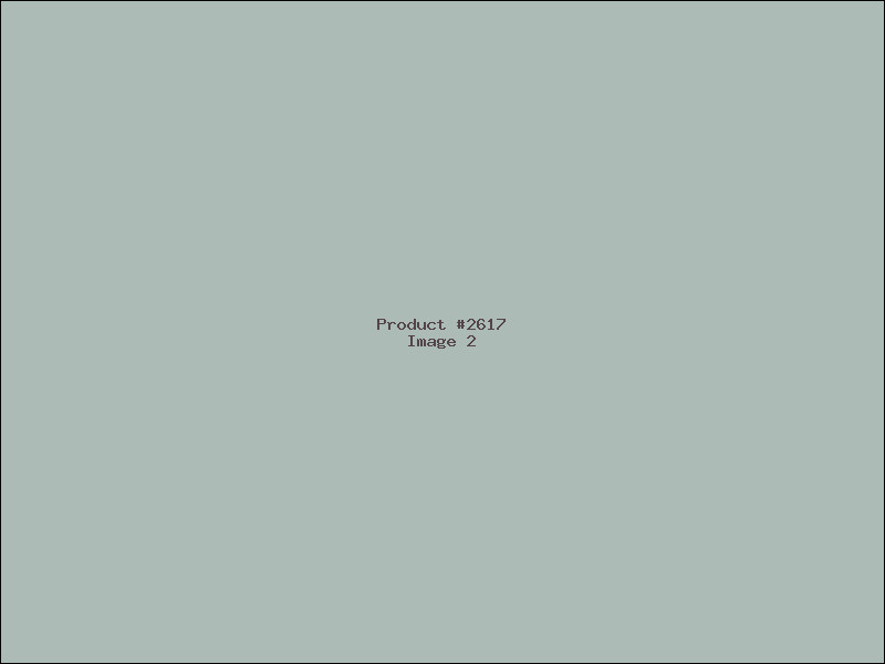 Example Product 2617 - Image 2