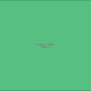 Example Product 2619