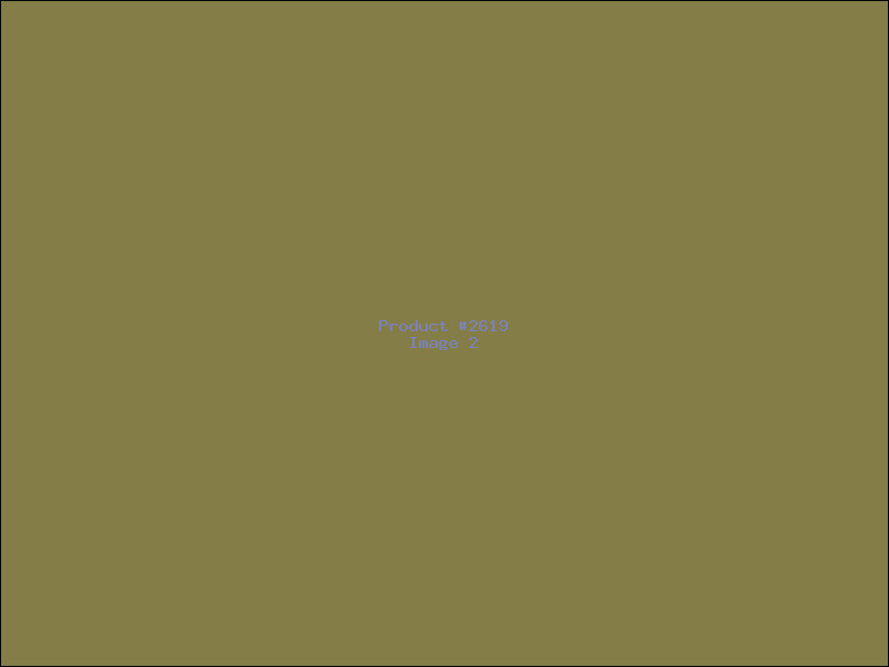 Example Product 2619 - Image 2