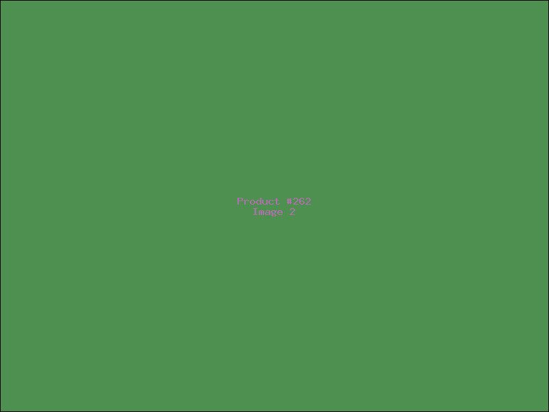 Example Product 262 - Image 2