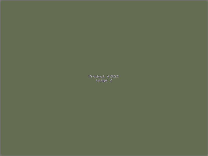 Example Product 2621 - Image 2