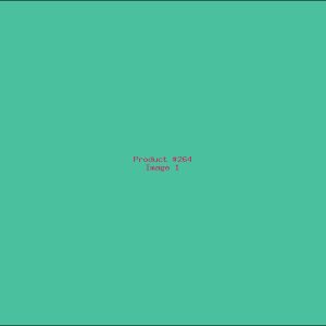 Example Product 264