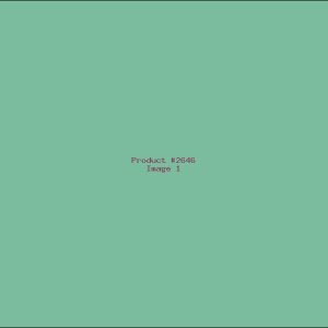 Example Product 2646