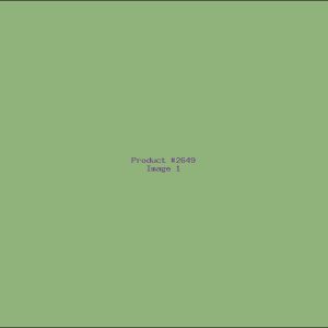 Example Product 2649