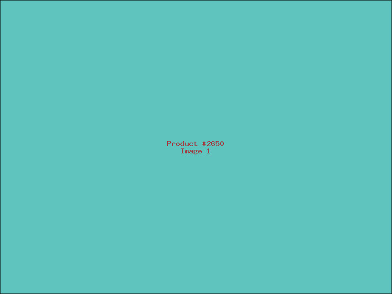 Example Product 2650