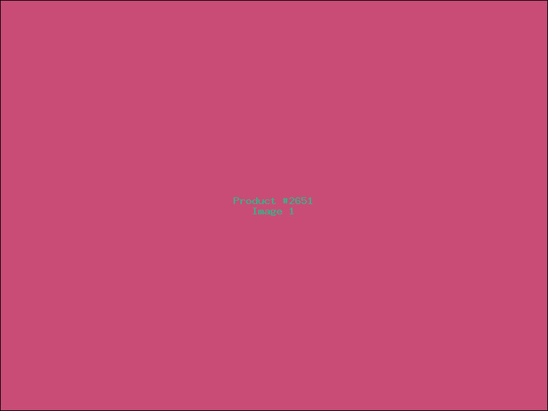 Example Product 2651