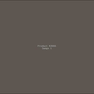 Example Product 2666