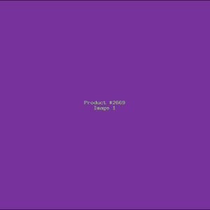 Example Product 2669