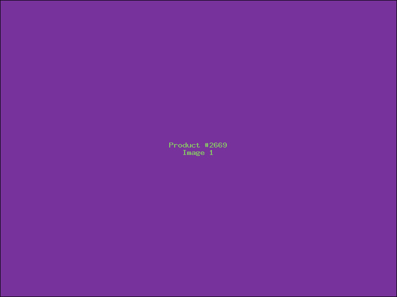 Example Product 2669