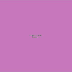 Example Product 267