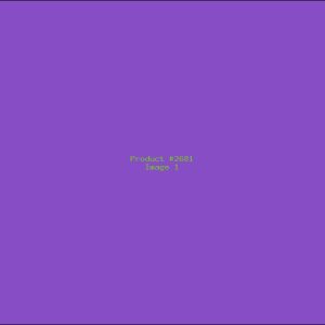 Example Product 2681