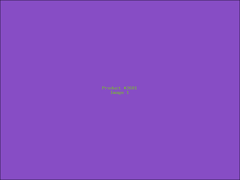 Example Product 2681