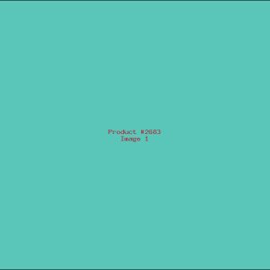 Example Product 2683