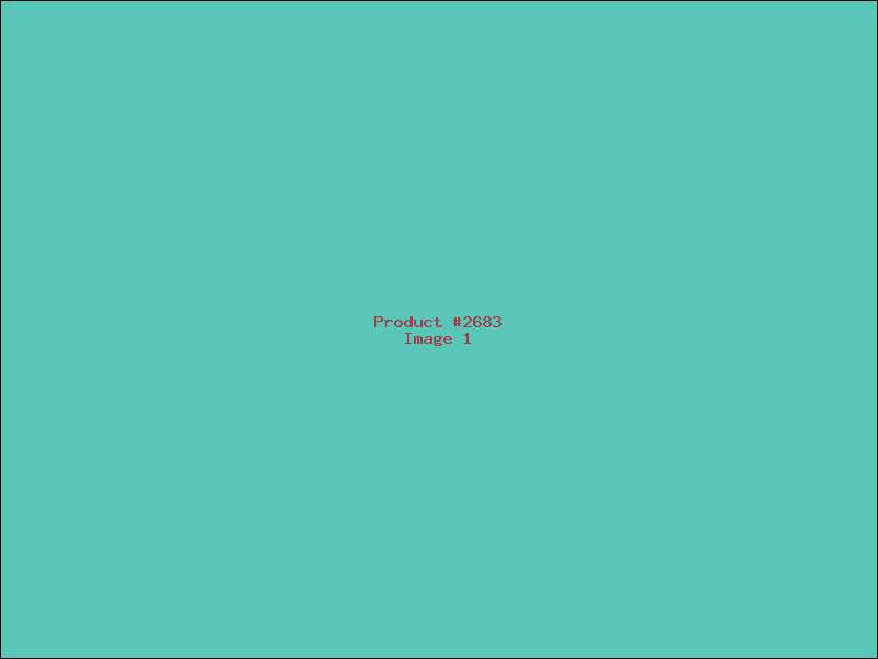 Example Product 2683