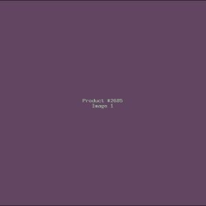 Example Product 2685