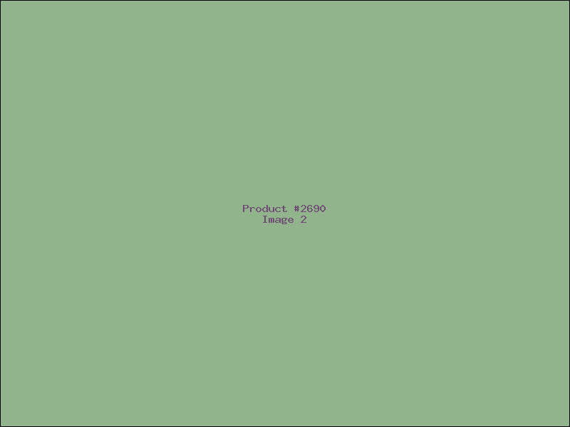 Example Product 2690 - Image 2