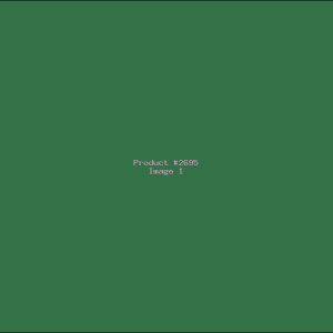 Example Product 2695