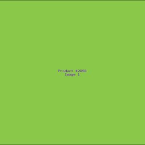 Example Product 2698