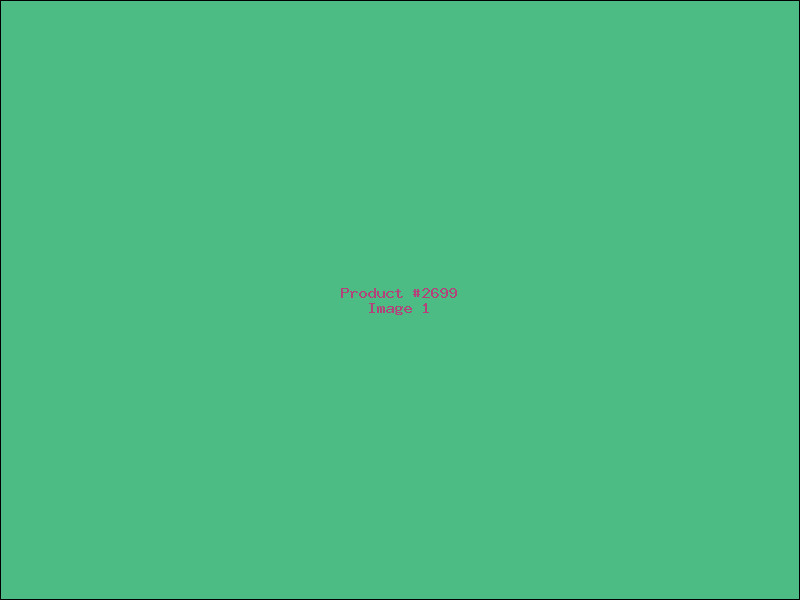 Example Product 2699
