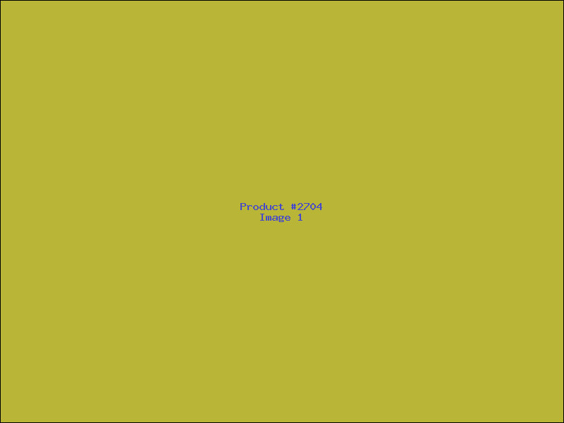 Example Product 2704