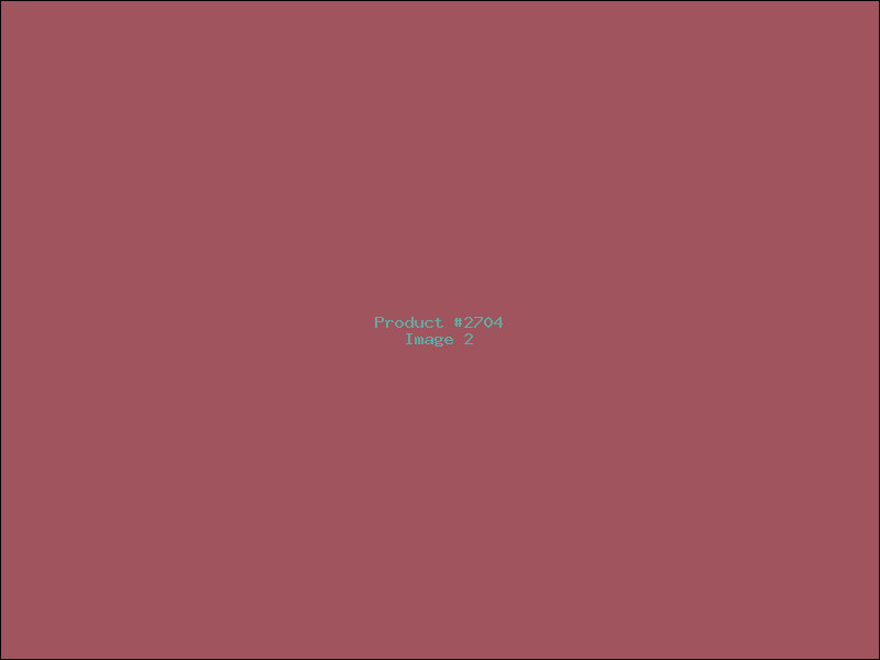 Example Product 2704 - Image 2