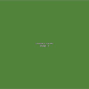 Example Product 2709