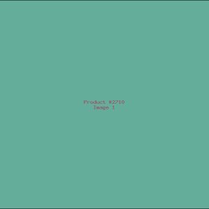 Example Product 2710