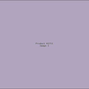 Example Product 2711