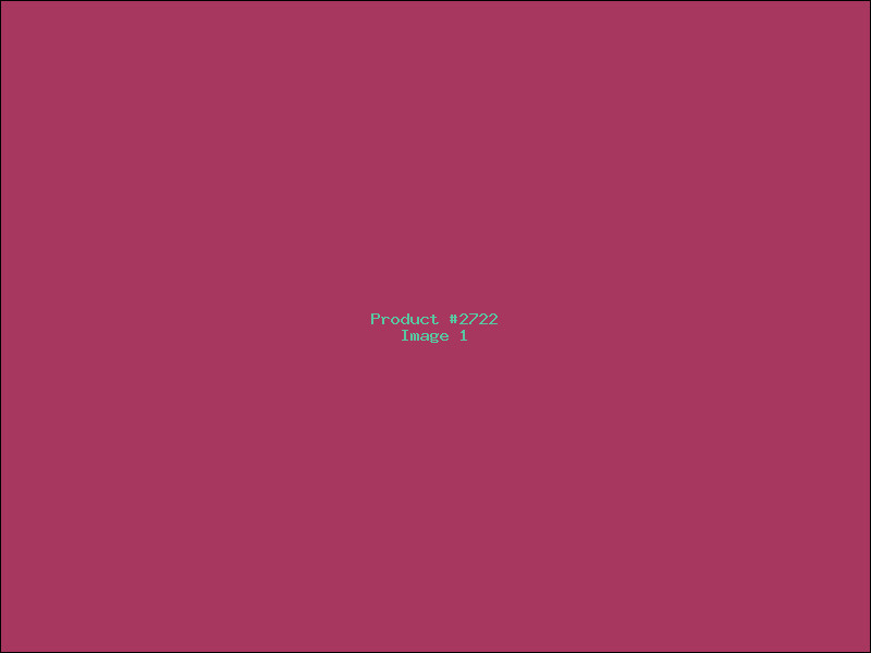 Example Product 2722