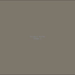 Example Product 2738