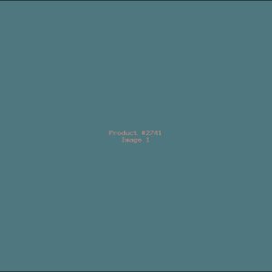 Example Product 2741