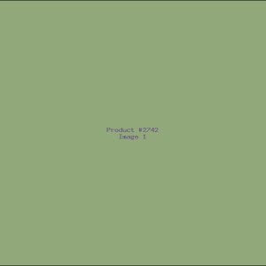 Example Product 2742