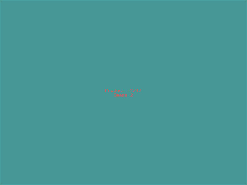Example Product 2742 - Image 2