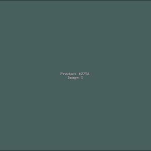 Example Product 2751