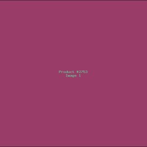 Example Product 2753