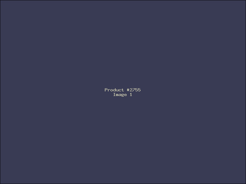 Example Product 2755