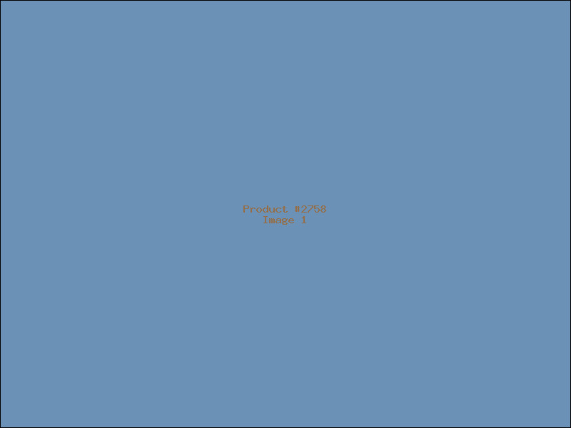 Example Product 2758