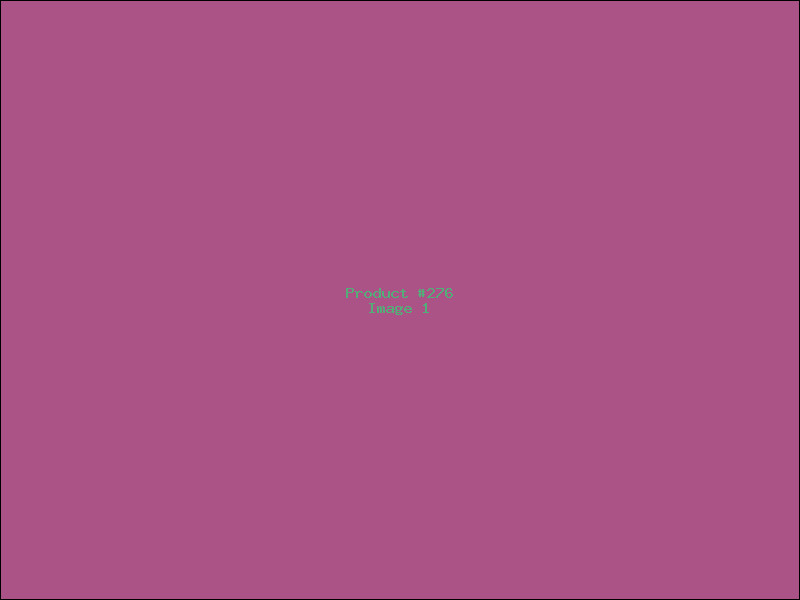 Example Product 276