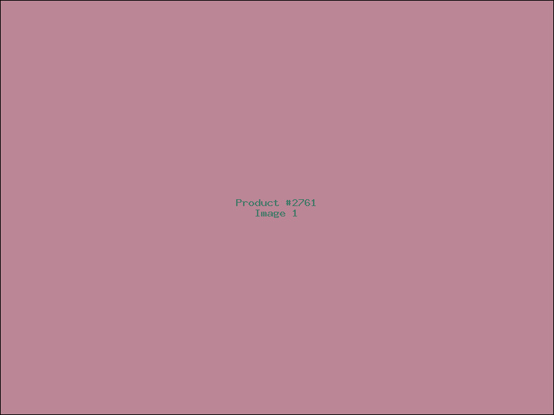 Example Product 2761
